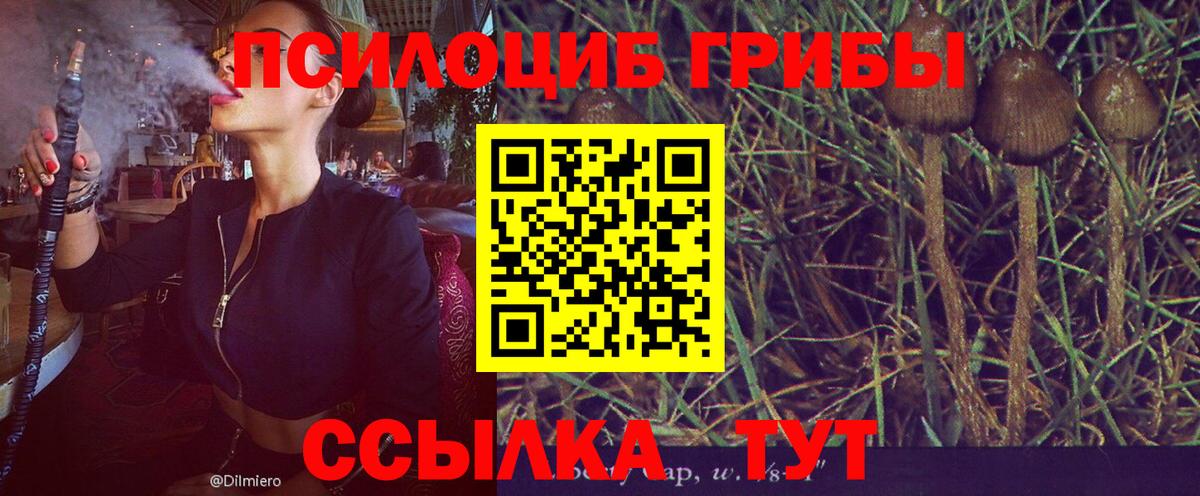 Псилоцибиновые грибы MAGIC MUSHROOMS  Вход с VPN  закладки  Вичуга 
